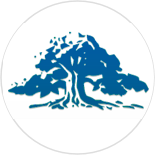 Birkenes Sparebank