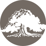 Grong Sparebank